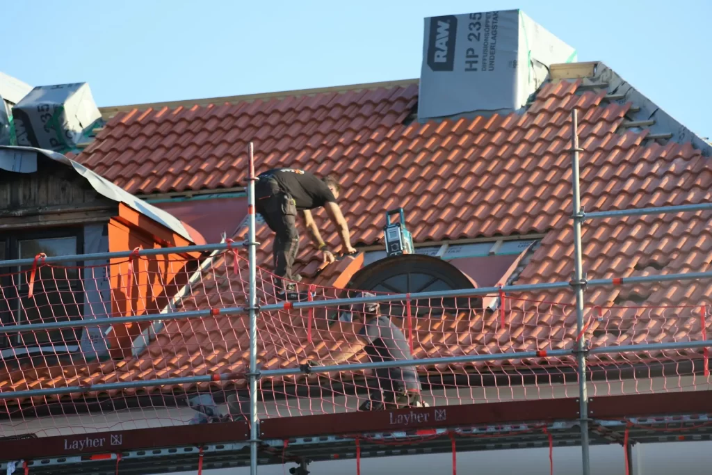 Roof Painting Services